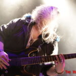 Brainstorm Festival 2015: Cat o'nine tails
